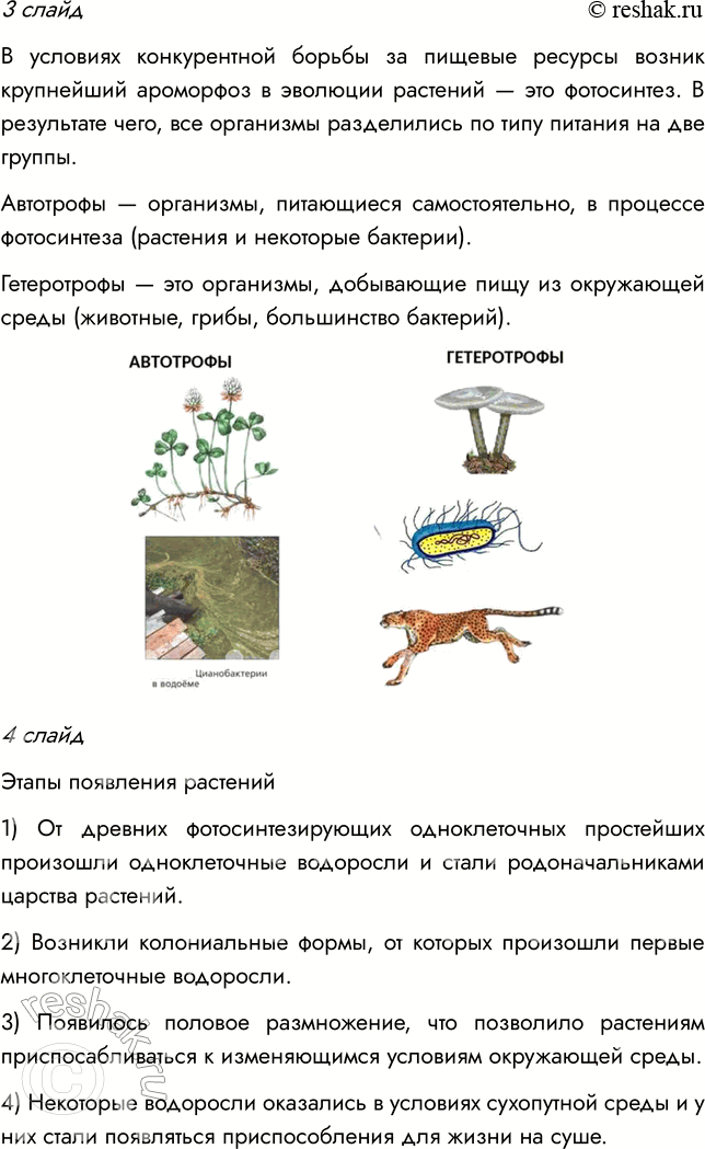 Решение задачи: § 10. РАЗВИТИЕ РАСТИТЕЛЬНОГО МИРА ВСПОМНИТЕ 1. Какая группа растений занимает в настоящее время господствующее положение? Господствующее положение в настоящее время занимают покрытосеменные растения.