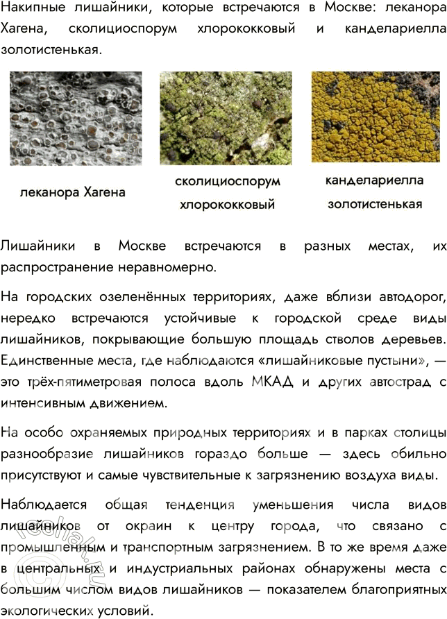 Решение задачи: § 26. ЛИШАЙНИКИ ВСПОМНИТЕ 1. Что такое таллом? Таллом — это тело низших растений, не имеющее отдельных органов и тканей — листьев, корня, стебля.