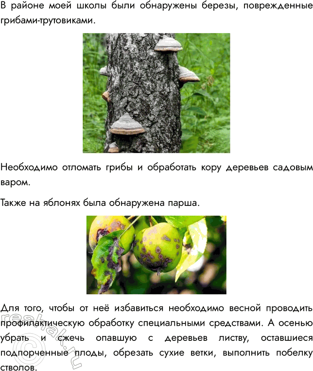 Решение задачи: § 25. ГРИБЫ — ПАРАЗИТЫ РАСТЕНИЙ, ЖИВОТНЫХ, ЧЕЛОВЕКА ВСПОМНИТЕ 1. Какие организмы называют паразитами? Паразитами называют организмы, которые используют другие живые существа в качестве источника питания и среды обитания.