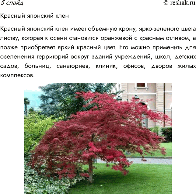 Решение задачи: § 9. ОТДЕЛ ПОКРЫТОСЕМЕННЫЕ, ИЛИ ЦВЕТКОВЫЕ, РАСТЕНИЯ ВСПОМНИТЕ 1. Какие растения называют цветковыми? Цветковыми называют растения, у которых есть цветок, из которого развивается плод с семенами.