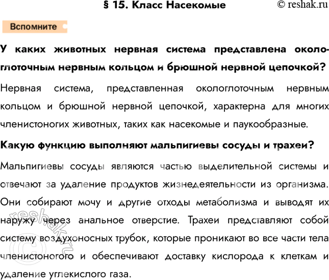 Решение задачи: § 15. Класс Насекомые У каких животных нервная система представлена около-глоточным нервным кольцом и брюшной нервной цепочкой? Нервная система, представленная окологлоточным нервным кольцом и брюшной нервной цепочкой, характерна для многих членистоногих животных, таких как насекомые и паукообразные.