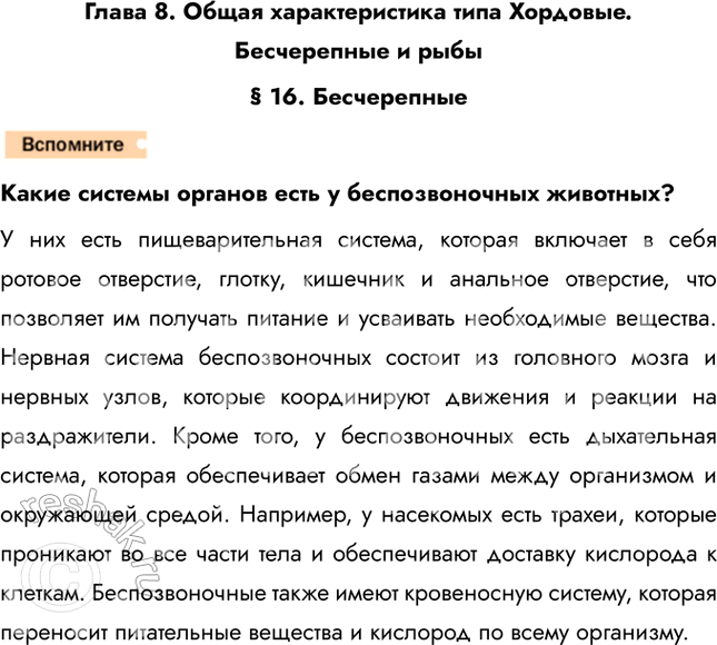 Решение задачи: Глава 8. Общая характеристика типа Хордовые. Бесчерепные и рыбы § 16. Бесчерепные Какие системы органов есть у беспозвоночных животных? У них есть пищеварительная система, которая включает в себя ротовое отверстие, глотку, кишечник и анальное отверстие, что позволяет им получать питание и усваивать необходимые вещества.