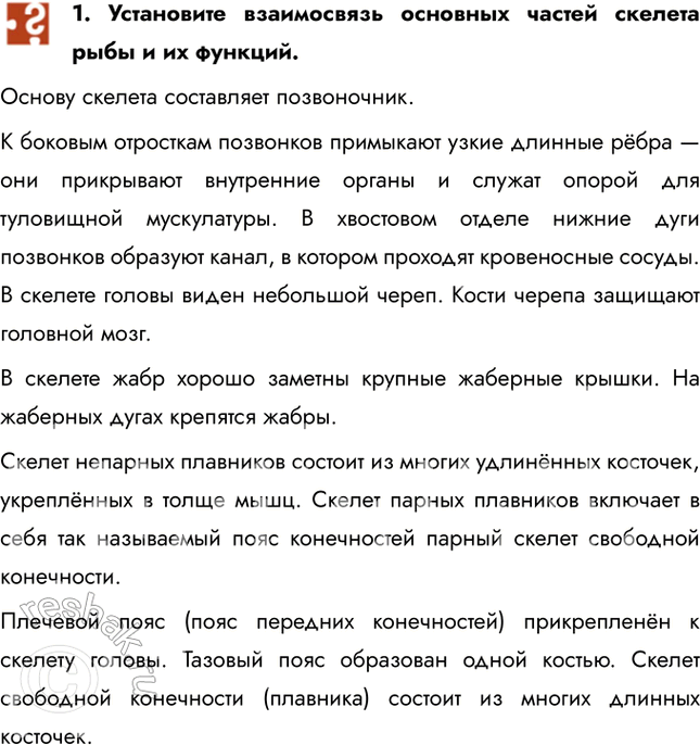 Решение задачи: 1. Установите взаимосвязь основных частей скелета рыбы и их функций. Основу скелета составляет позвоночник. К боковым отросткам позвонков примыкают узкие длинные рёбра — они прикрывают внутренние органы и служат опорой для туловищной мускулатуры.