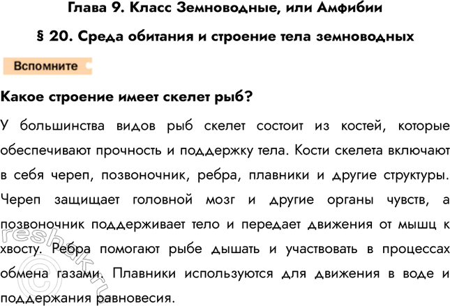 Решение задачи: Глава 9. Класс Земноводные, или Амфибии § 20. Среда обитания и строение тела земноводных Какое строение имеет скелет рыб? У большинства видов рыб скелет состоит из костей, которые обеспечивают прочность и поддержку тела.
