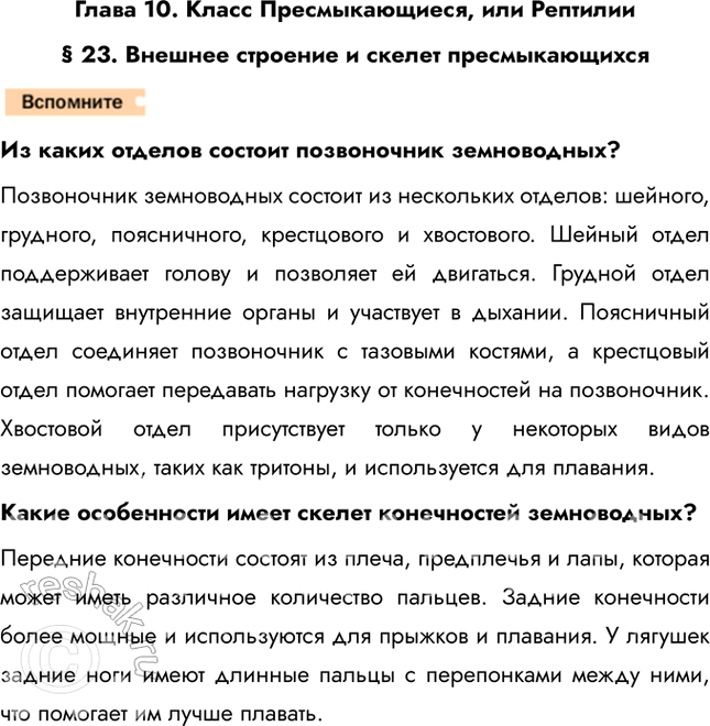 Решение задачи: Глава 10. Класс Пресмыкающиеся, или Рептилии § 23. Внешнее строение и скелет пресмыкающихся Из каких отделов состоит позвоночник земноводных? Позвоночник земноводных состоит из нескольких отделов: