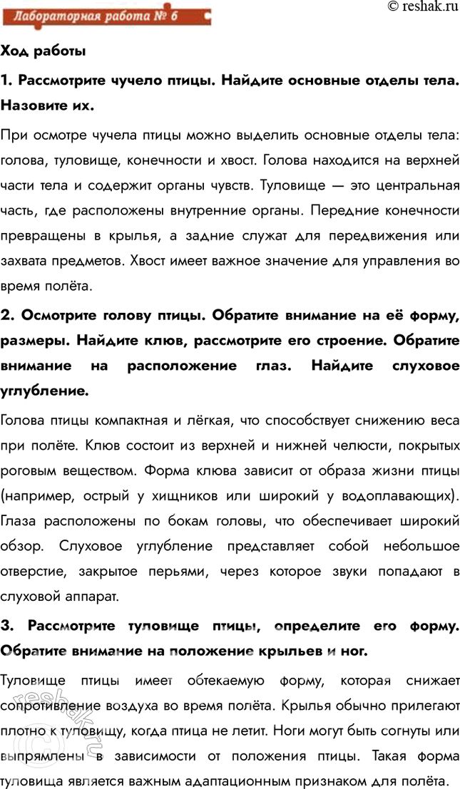 Решение задачи: Ход работы 1. Рассмотрите чучело птицы. Найдите основные отделы тела. Назовите их. При осмотре чучела птицы можно выделить основные отделы тела: