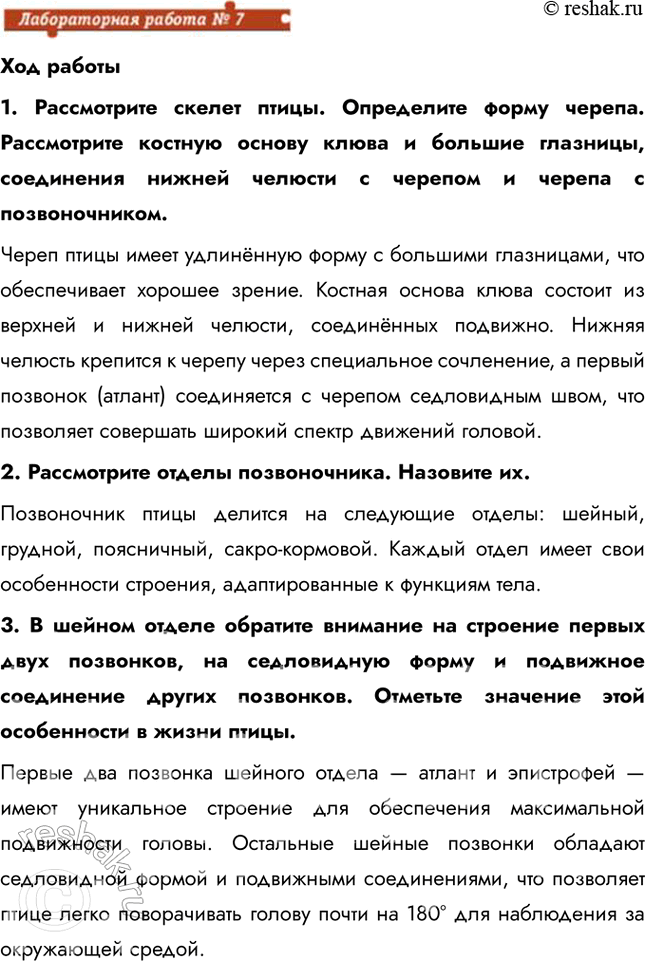 Решение задачи: Ход работы 1. Рассмотрите скелет птицы. Определите форму черепа. Рассмотрите костную основу клюва и большие глазницы, соединения нижней челюсти с черепом и черепа с позвоночником.