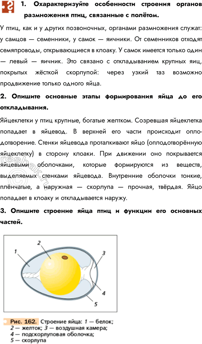 Решение задачи: 1. Охарактеризуйте особенности строения органов размножения птиц, связанные с полётом. У птиц, как и у других позвоночных, органами размножения служат: у самцов — семенники, у самок — яичники.
