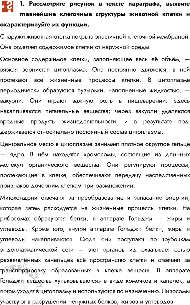 Решение задачи: 1. Рассмотрите рисунок в тексте параграфа, выявите главнейшие клеточные структуры животной клетки и охарактеризуйте их функции. Снаружи животная клетка покрыта эластичной клеточной мембраной.