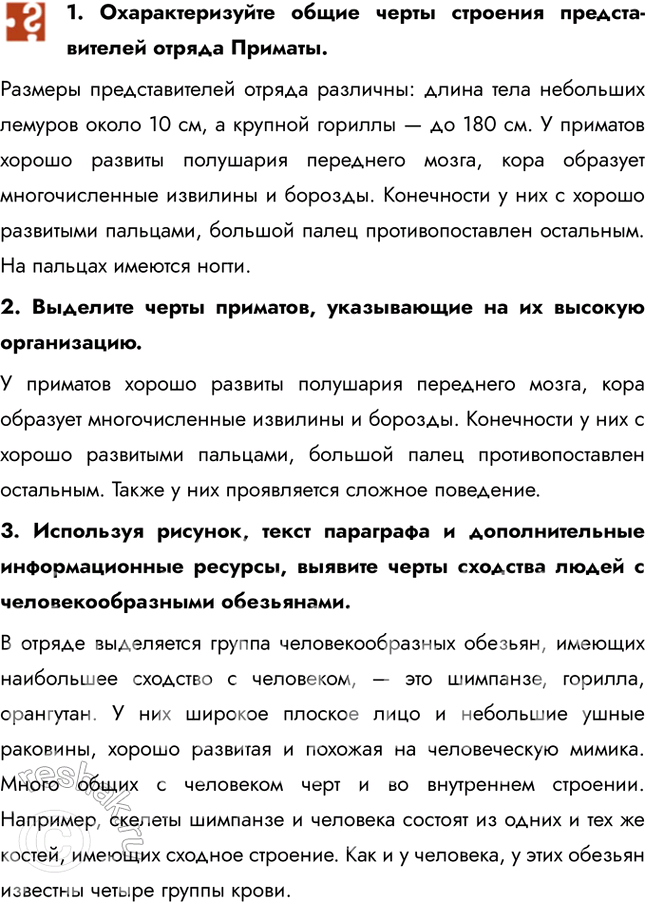 Решение задачи: 1. Охарактеризуйте общие черты строения представителей отряда Приматы. Размеры представителей отряда различны: длина тела небольших лемуров около 10 см, а крупной гориллы — до 180 см.
