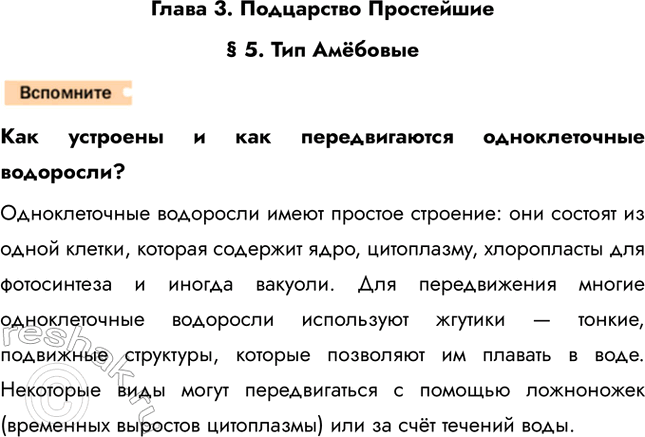 Решение задачи: Глава 3. Подцарство Простейшие § 5. Тип Амёбовые Как устроены и как передвигаются одноклеточные водоросли? Одноклеточные водоросли имеют простое строение: они состоят из одной клетки, которая содержит ядро, цитоплазму, хлоропласты для фотосинтеза и иногда вакуоли.
