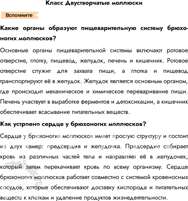 Решение задачи: Класс Двустворчатые моллюски Какие органы образуют пищеварительную систему брюхоногих моллюсков? Основные органы пищеварительной системы включают ротовое отверстие, глотку, пищевод, желудок, печень и кишечник.