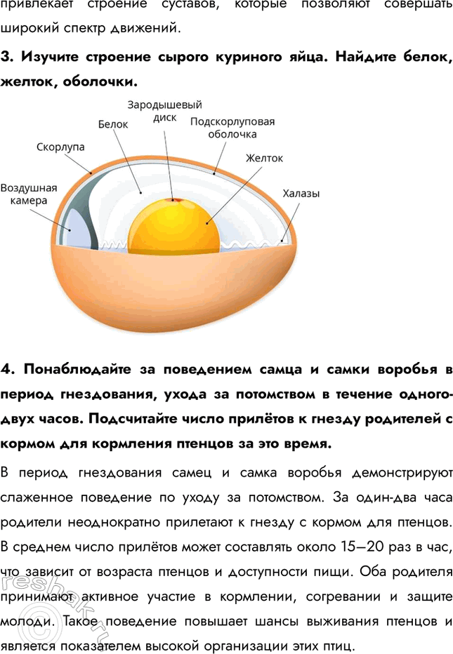 Решение задачи: Подведем итоги 1. Укажите главные черты сходства и отличия птиц от пресмыкающихся. Сходства: птицы и пресмыкающиеся относятся к амниотам, имеют сухую кожу, покрытую роговыми образованиями (перья у птиц, чешуи у пресмыкающихся), и откладывают яйца с плотной оболочкой.