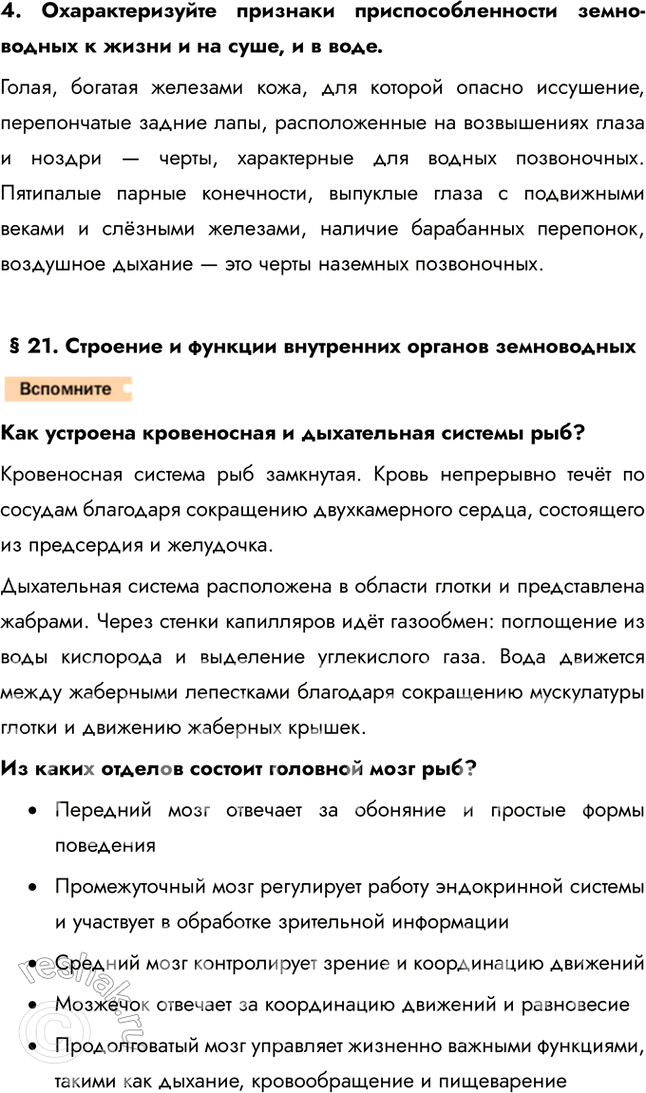 Решение задачи: 1. Объясните происхождение названия «земноводные». Земноводные, или амфибии, — немногочисленная группа примитивных наземных позвоночных животных, сохраняющих тесную связь с водной средой.