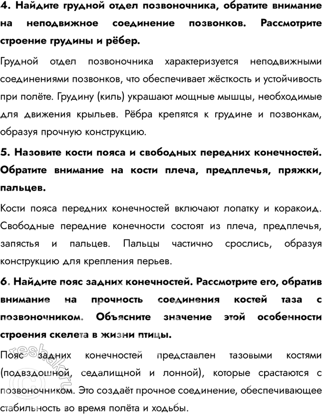 Решение задачи: Ход работы 1. Рассмотрите скелет птицы. Определите форму черепа. Рассмотрите костную основу клюва и большие глазницы, соединения нижней челюсти с черепом и черепа с позвоночником.