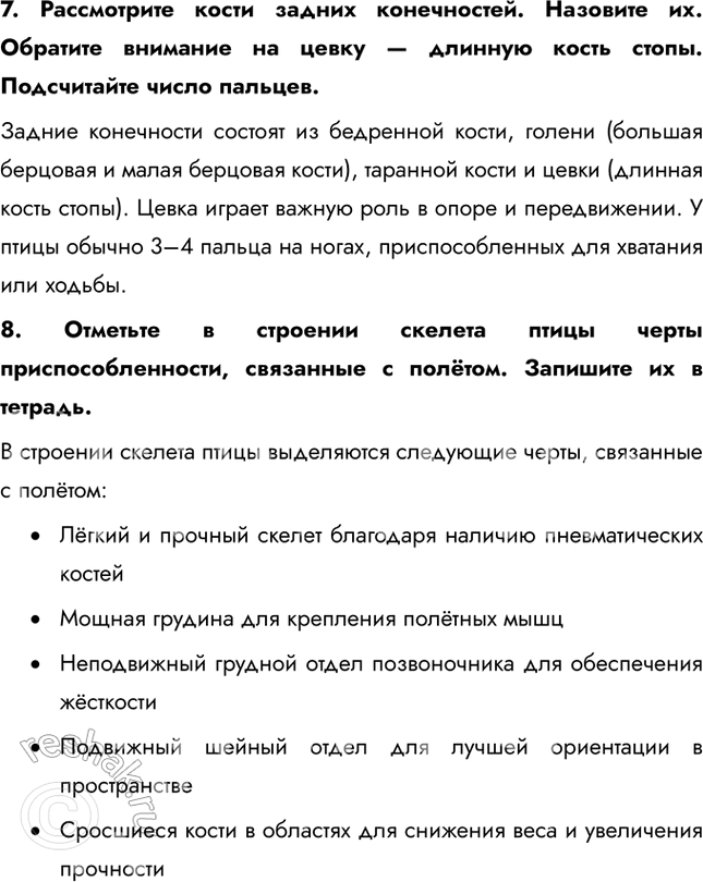 Решение задачи: Ход работы 1. Рассмотрите скелет птицы. Определите форму черепа. Рассмотрите костную основу клюва и большие глазницы, соединения нижней челюсти с черепом и черепа с позвоночником.