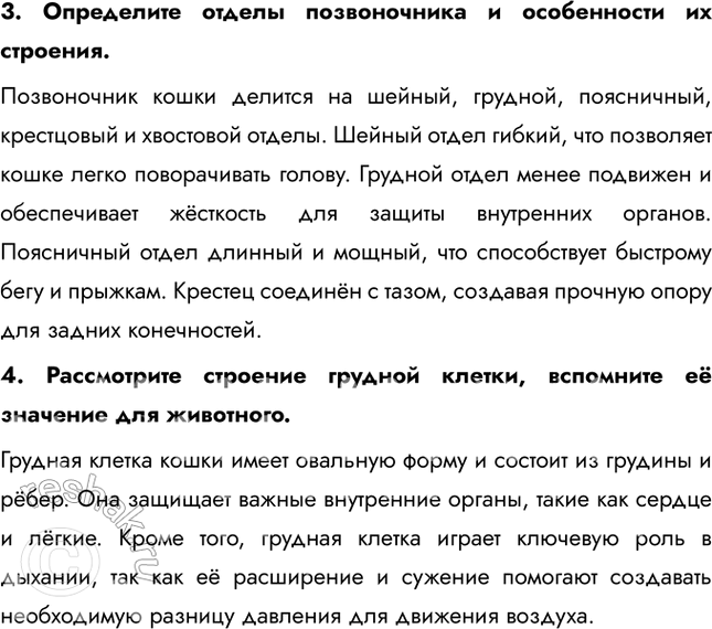 Решение задачи: Ход работы 1. Рассмотрите общее строение скелета. Найдите его части: скелеты головы, туловища, конечностей. Обратите внимание на соединение костей между собой.