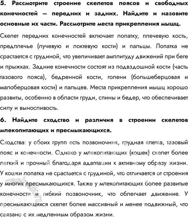Решение задачи: Ход работы 1. Рассмотрите общее строение скелета. Найдите его части: скелеты головы, туловища, конечностей. Обратите внимание на соединение костей между собой.
