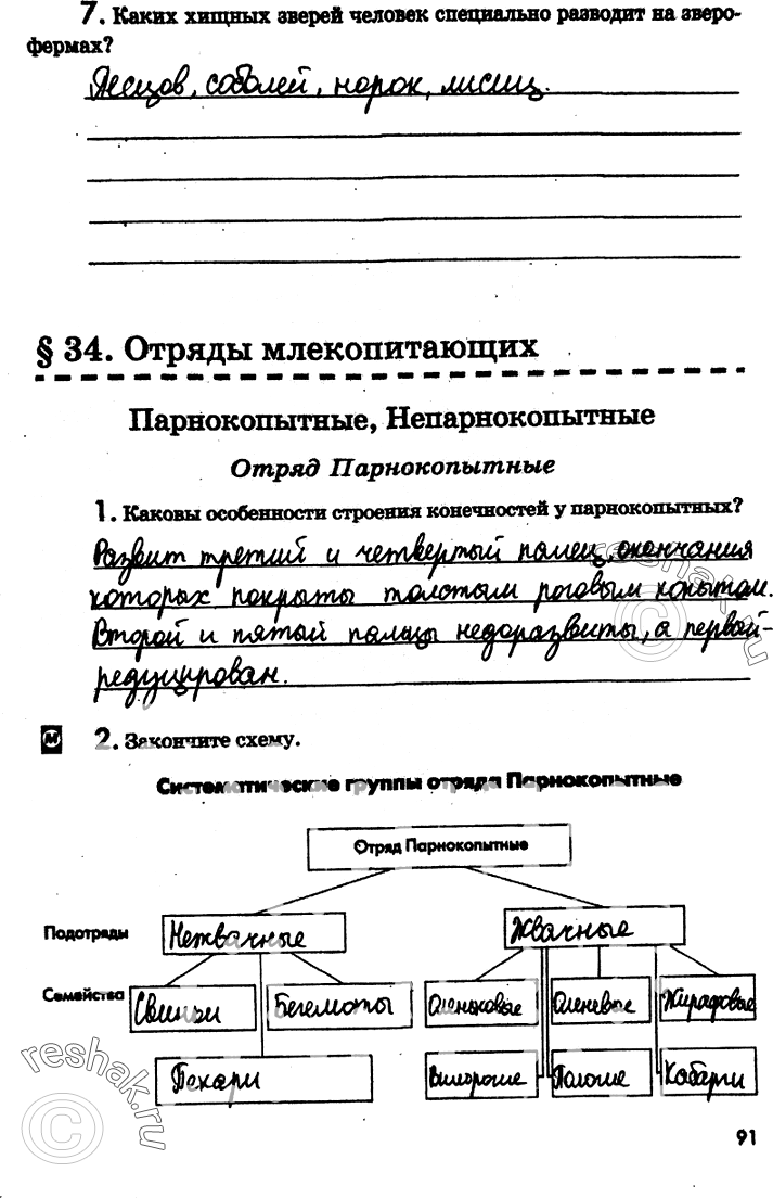 Решение задачи: 7. Каких хищных зверей человек специально разводит на зверофермах? § 34. Отряды млекопитающих Парнокопытные, Непарнокопытные Отряд Парнокопытные 1. Каковы особенности строения конечностей у парнокопытных?