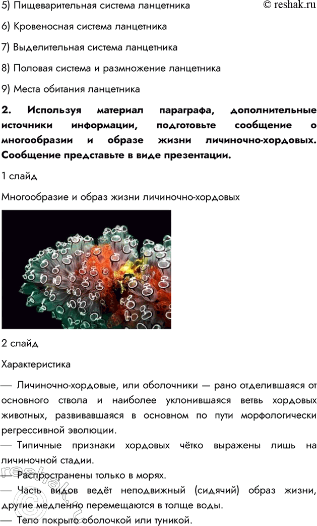 Решение задачи: §17. ТИП ХОРДОВЫЕ ВСПОМНИТЕ 1. Каких животных называют позвоночными? Позвоночными называют животных, имеющих внутренний осевой скелет — позвоночник. 2. Что такое внутренний скелет?