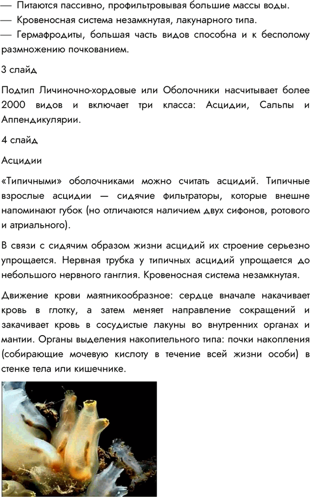 Решение задачи: §17. ТИП ХОРДОВЫЕ ВСПОМНИТЕ 1. Каких животных называют позвоночными? Позвоночными называют животных, имеющих внутренний осевой скелет — позвоночник. 2. Что такое внутренний скелет?
