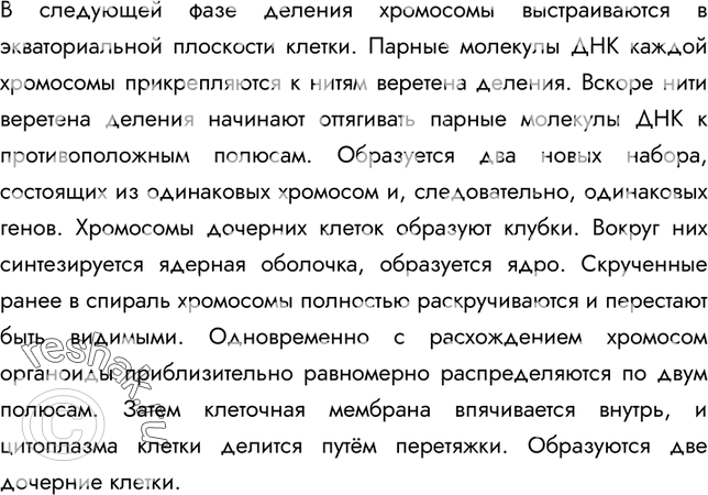 Решение задачи: §7. Клеточное строение организма 1. Каково строение животной клетки? По форме, строению и функциям клетки чрезвычайно разнообразны, но по структуре они сходны.