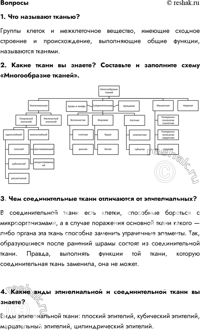 Решение задачи: §8. Ткани 1. Из какой ткани состоит кожа, стенки полости рта, ушные и носовые хрящи? Кожа, стенки полости рта состоят из эпителиальной (покровной) ткани, а ушные и носовые хрящи состоят – из соединительной ткани.