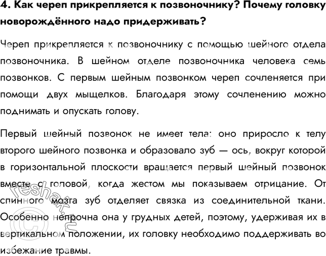 Решение задачи: §11. Скелет человека. Осевой скелет 1. Что такое скелет? Скелет – это совокупность костей, хрящей и укрепляющих их связок. 2. На какие части он подразделяется?