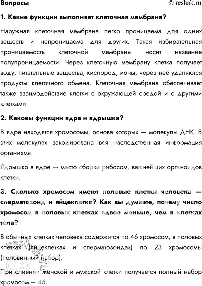 Решение задачи: §7. Клеточное строение организма 1. Каково строение животной клетки? По форме, строению и функциям клетки чрезвычайно разнообразны, но по структуре они сходны.