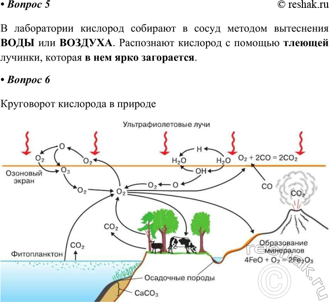 Решение задачи: Часть II 1. Для кислорода характерно образование двух простых веществ: _ и _ т. е. явление _. Для кислорода характерно образование двух простых веществ:
