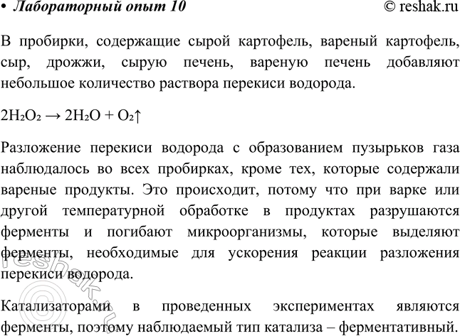 Решение задачи: Лабораторный опыт № 10 Обнаружение каталазы в пищевых продуктах Исследуем некоторые пищевые продукты на наличие в них фермента каталазы (эксперимент лучше выполнять в группе).