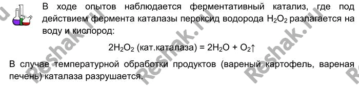 Решение задачи: Лабораторный опыт № 10 Обнаружение каталазы в пищевых продуктах Исследуем некоторые пищевые продукты на наличие в них фермента каталазы (эксперимент лучше выполнять в группе).