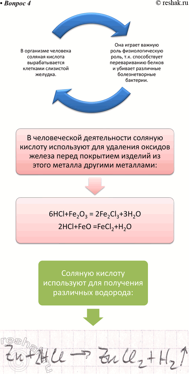 Решение задачи: 4. Составьте инфографику о соляной кислоте и её свойствах. Ответ 1 В организме человека соляная кислота вырабатывается клетками слизистой желудка. Она играет важную роль физиологическую роль, т.к.