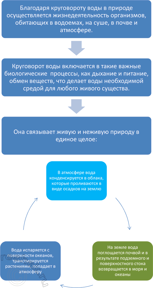 Решение задачи: 3. Используя знания химии, биологии, географии, подготовьте инфографику по теме «Участие живых организмов в перераспределении химических элементов в земной коре». Углерод в составе органических и неорганических соединений участвует в важных процессах: