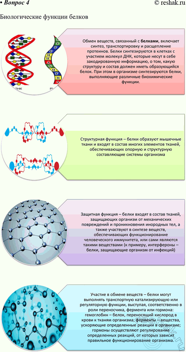 Решение задачи: 4. Составьте инфографику по одной из тем: «Углеводы: вред и польза», «Жиры в нашей жизни», «Белки — природные полимеры», «Биологические функции белков».