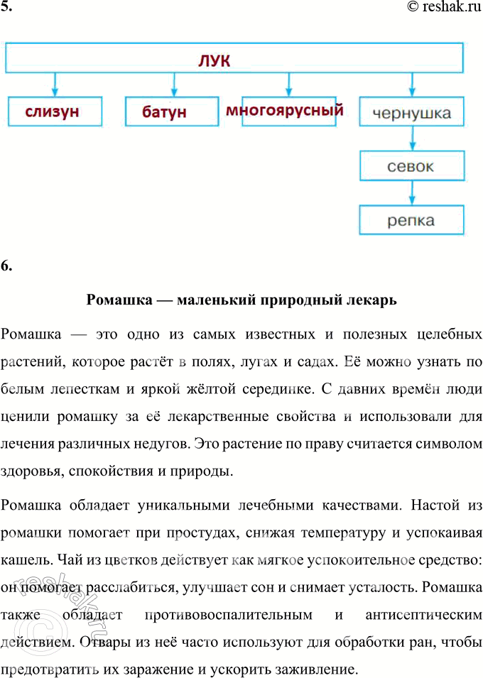Решение задачи: 1. Что в этой статье оказалось для тебя новым? В этой статье для меня новым оказалось, что лук проходит несколько стадий развития, меняя свои названия на разных этапах.