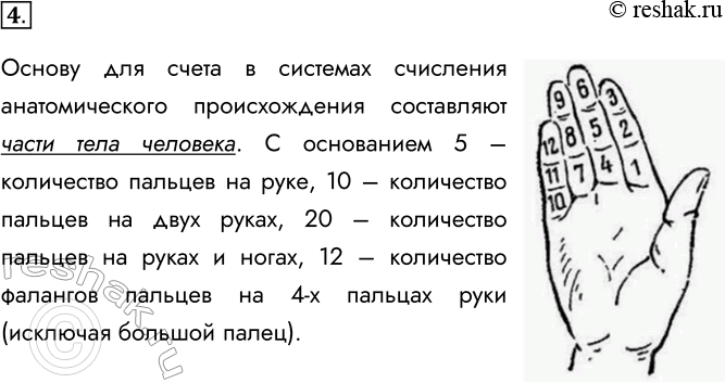Решение задачи: 4. Как вы считаете, почему позиционные системы счисления с основаниями 5, 10, 12 и 20 называют системами счисления анатомического происхождения? Основу для счета в системах счисления анатомического происхождения составляют части тела человека.