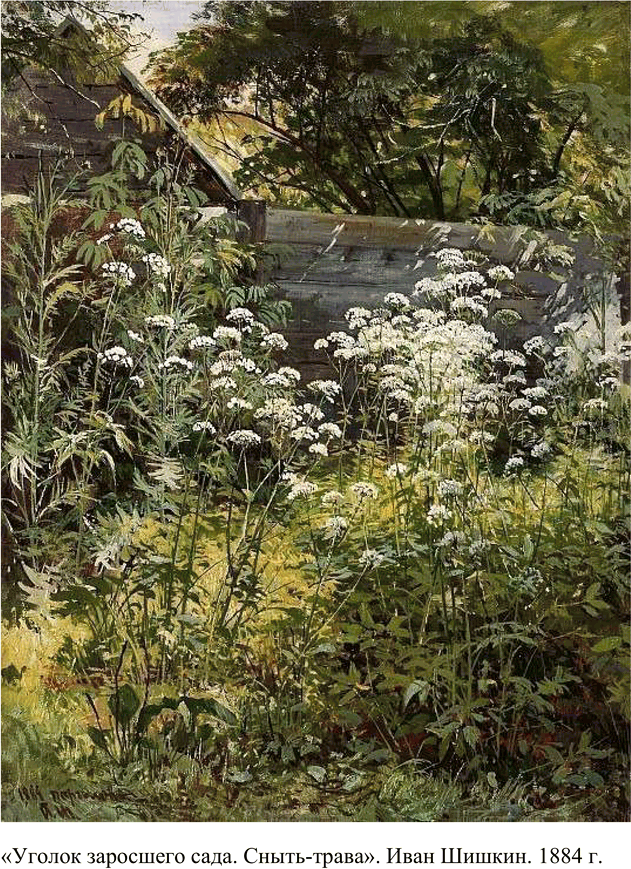 Решение задачи: Связь с другими видами искусства Обратитесь к русской живописи XIX века, подберите картины, соответствующие основным местам действия романа «Обрыв»: сад в дворянской усадьбе, заброшенный помещичий дом, глухой овраг, часовня в саду и т.