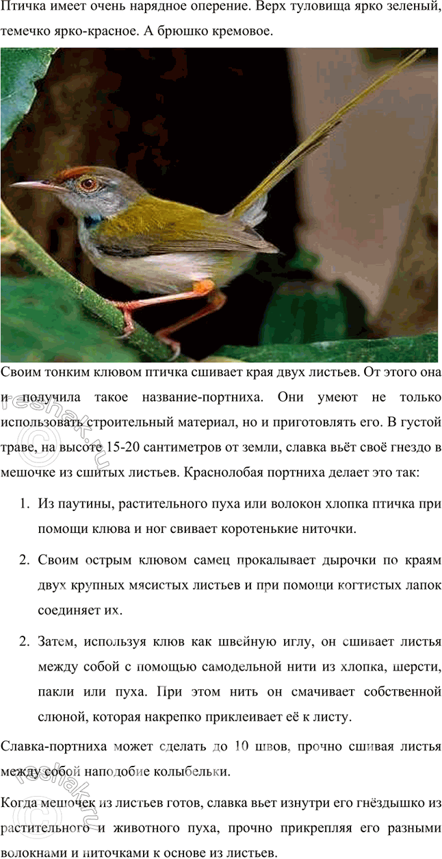 Решение задачи: Размышляем о прочитанном 1. Понравилась ли вам сказка о храбром мангусте? Что в ней показалась вам необычным? Мне понравилась сказка о храбром мангусте, она красивая и интересная, герои её непривычны.