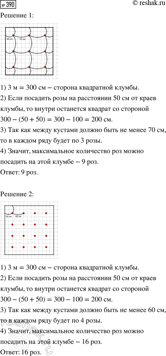 Решение задачи: 390. Для нормального роста роз между соседними кустами должно быть не менее 70 см, а от края клумбы до куста — не менее 50 см.