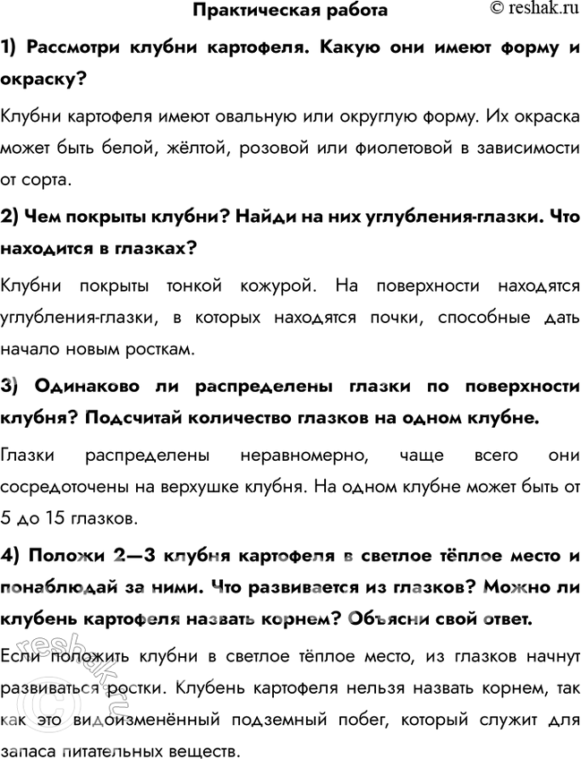 Решение задачи: Практическая работа 1) Рассмотри клубни картофеля. Какую они имеют форму и окраску? Клубни картофеля имеют овальную или округлую форму. Их окраска может быть белой, жёлтой, розовой или фиолетовой в зависимости от сорта.