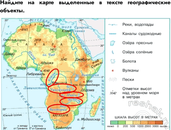 Решение задачи: Найдите на карте выделенные в тексте географические объекты. Рассмотрите изображения растений и животных, которые распространены в Африке. Что вы можете рассказать о них?