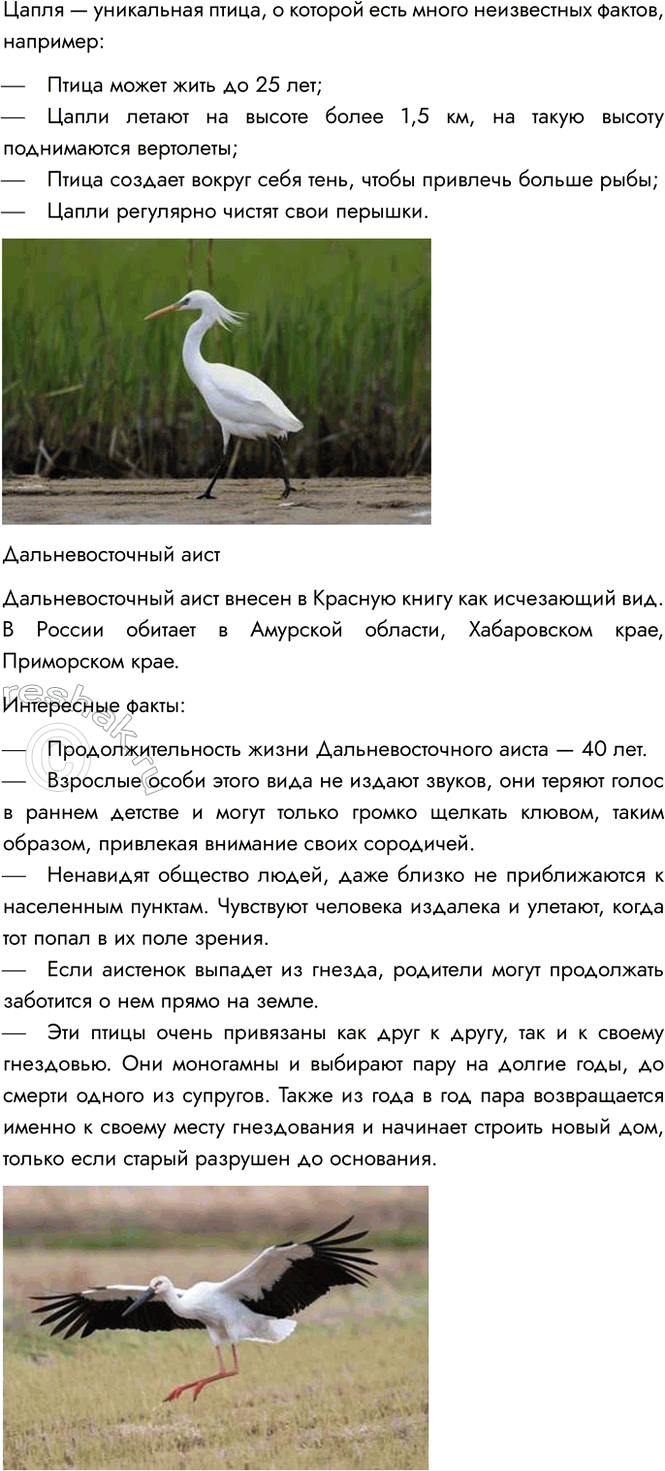 Решение задачи: 