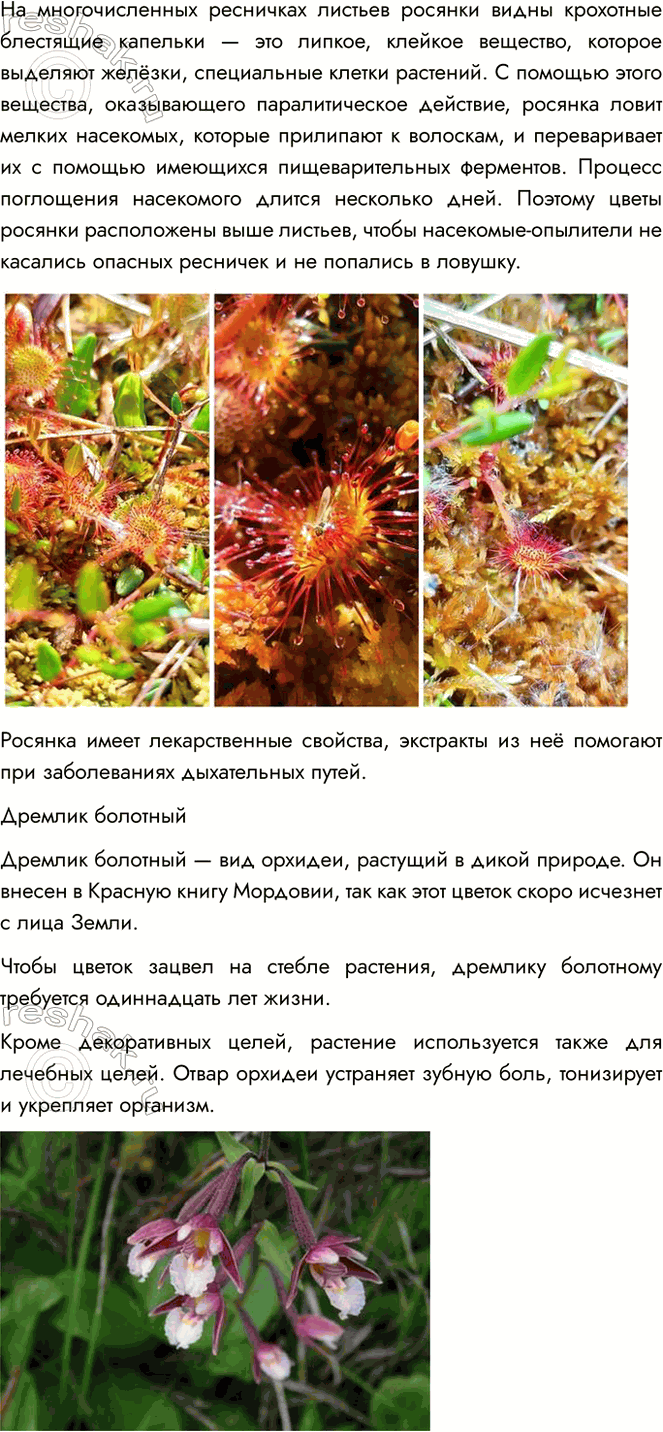 Решение задачи: 