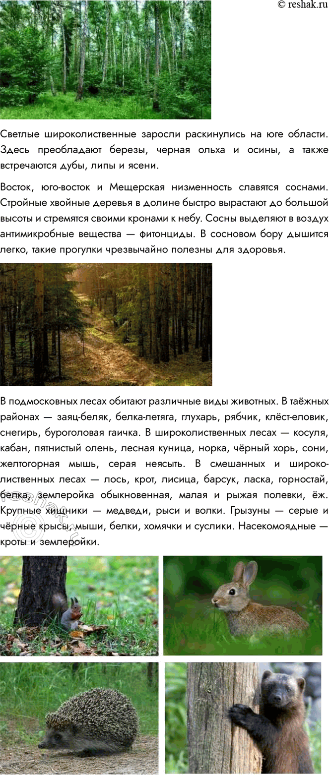 Решение задачи: 