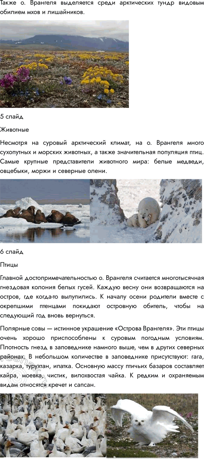 Решение задачи: 