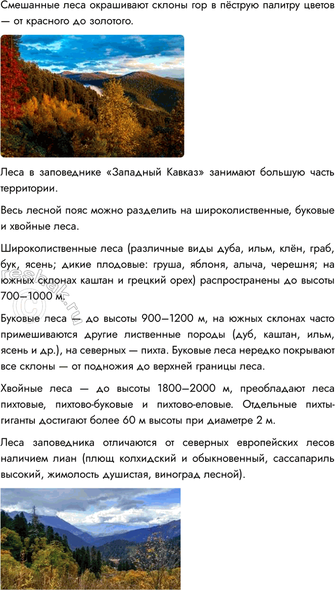 Решение задачи: 