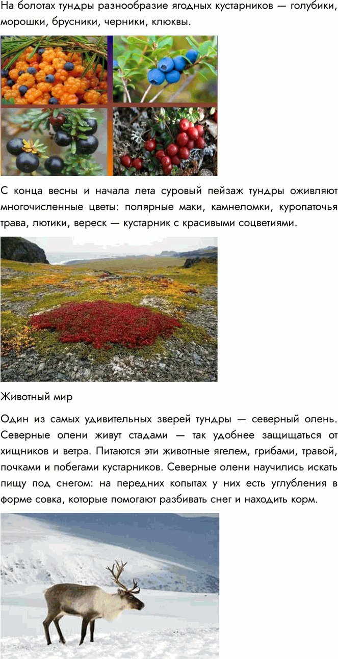 Решение задачи: 