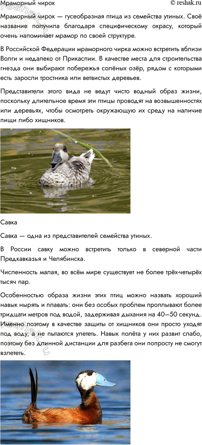 Решение задачи: 