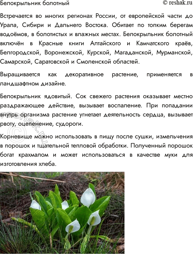 Решение задачи: 